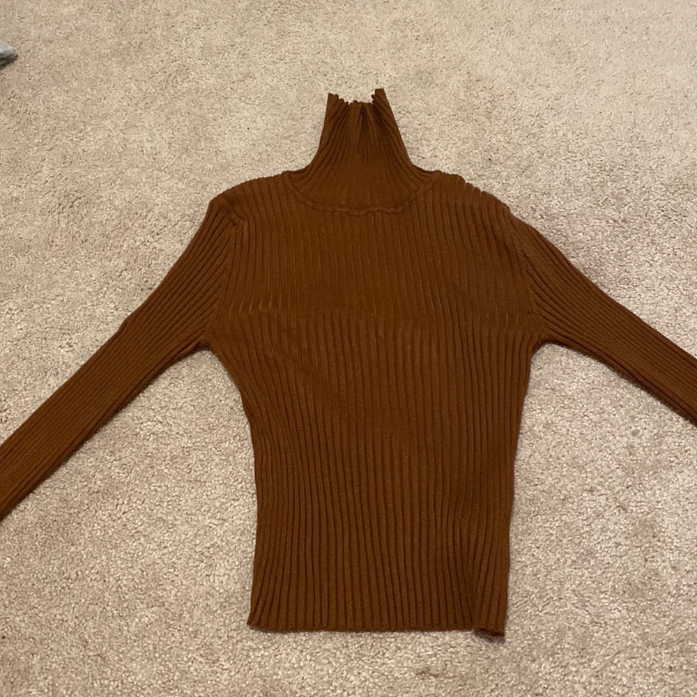 Macys, brown turtleneck, small.